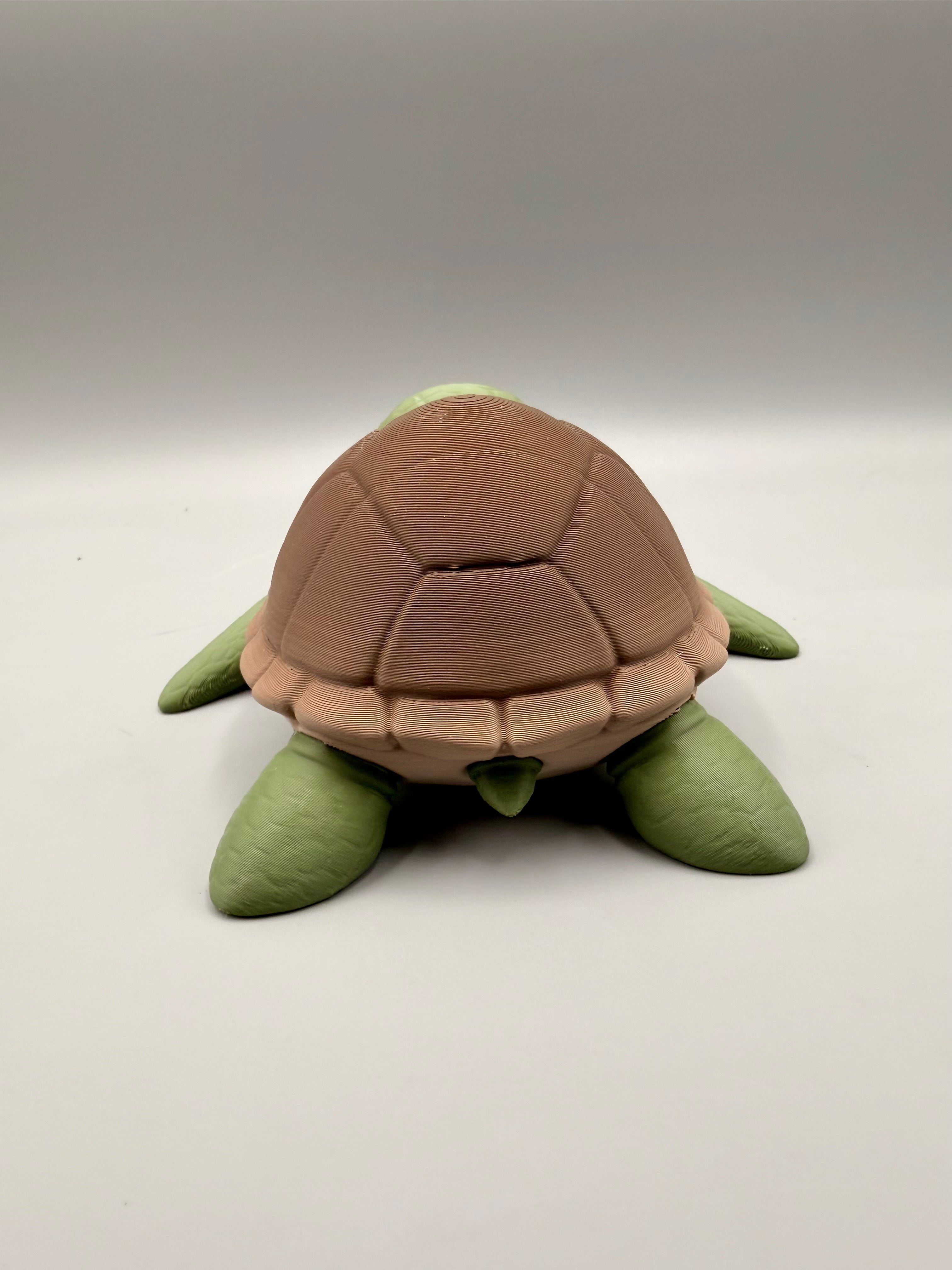Sea Turtle – Grumpy Animals Collection