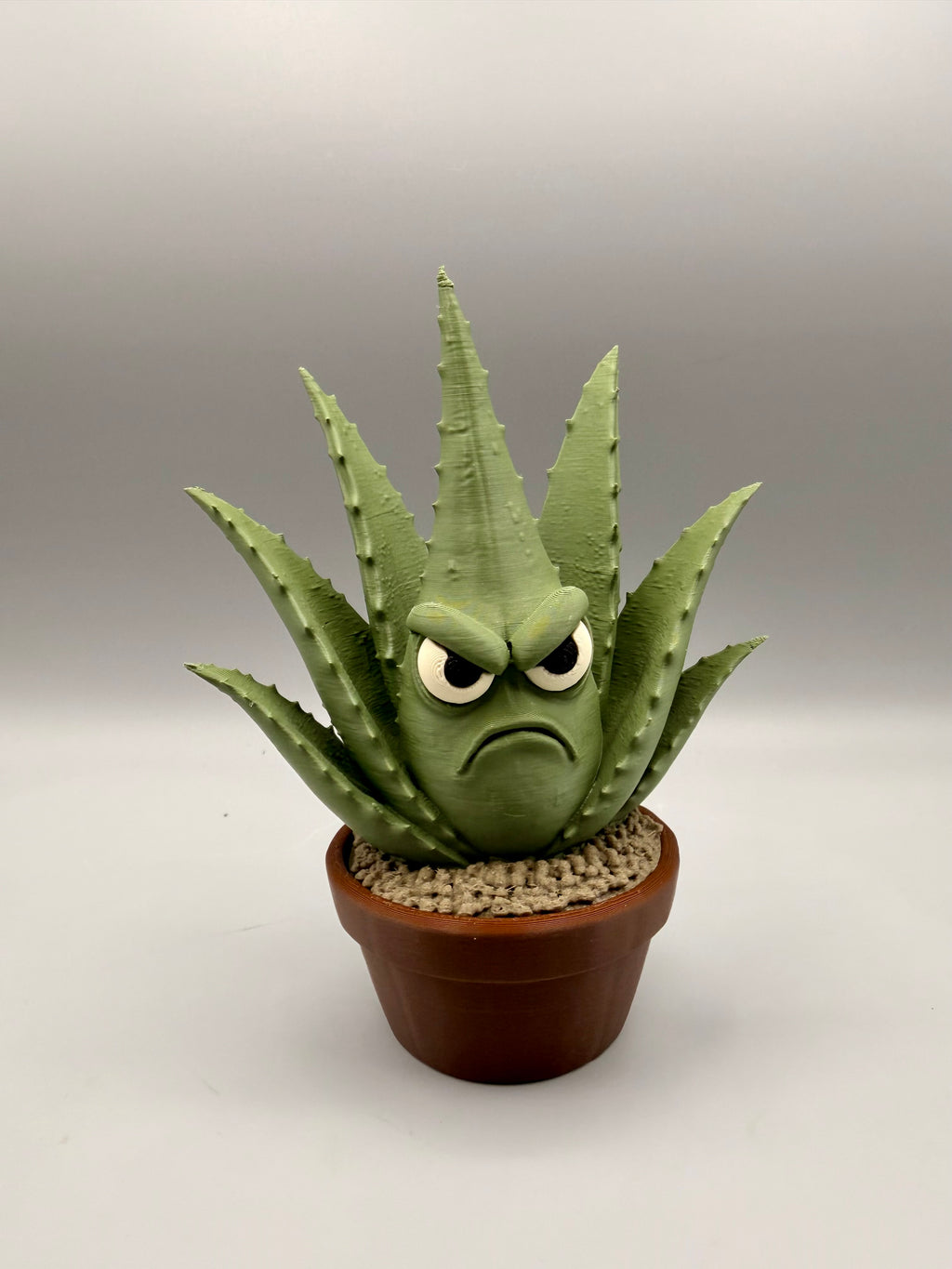 Grumpy Plants – Grumpy Aloe