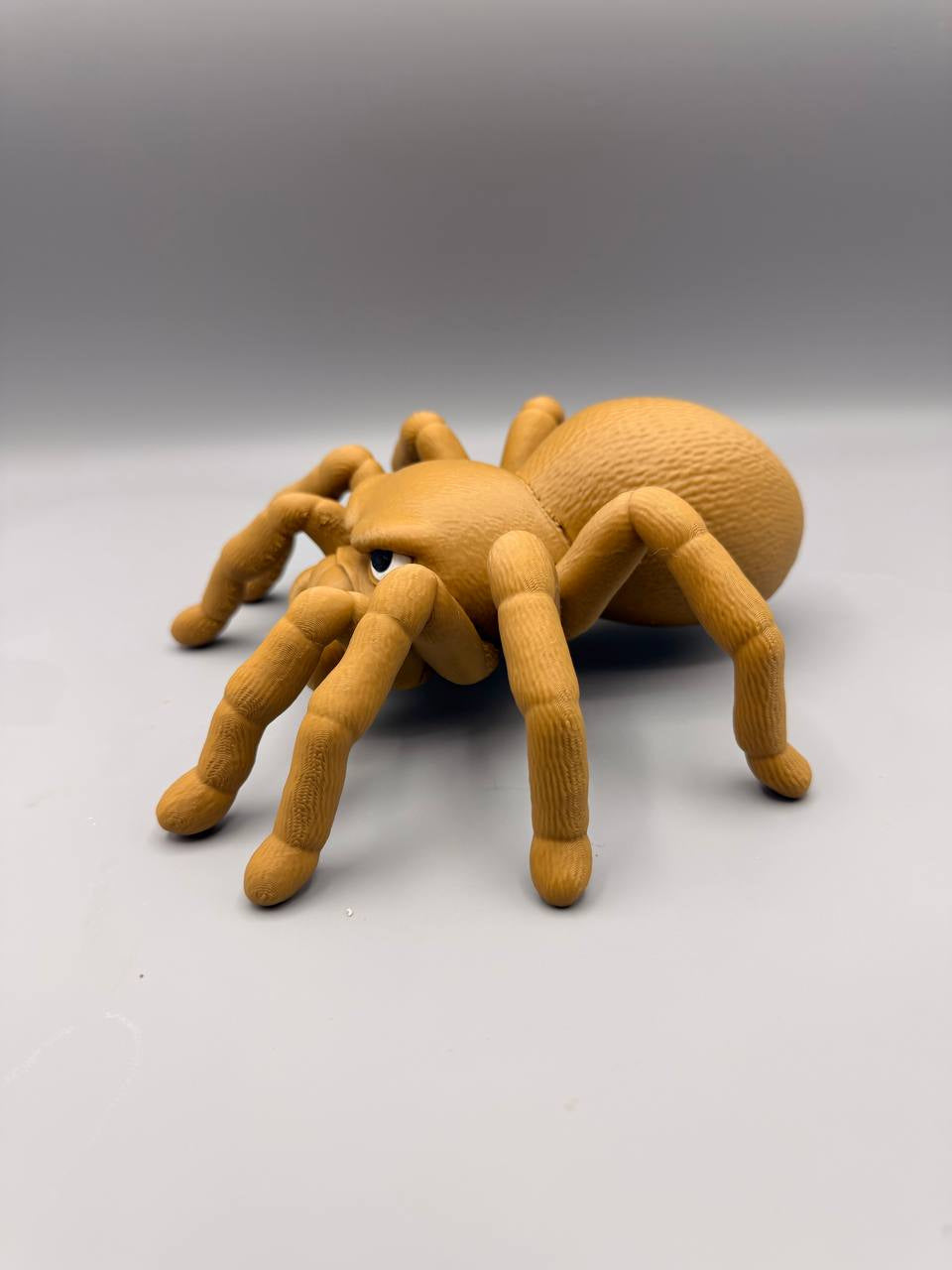 Grumpy Animals – Tarantula