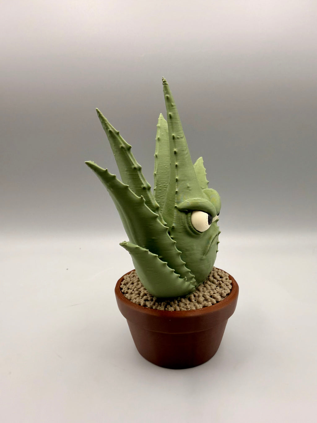 Grumpy Plants – Grumpy Aloe